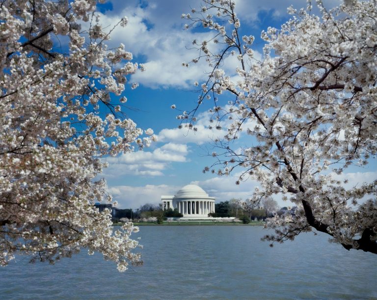 Race Weekend in Washington, DC: A Guide to Hotels, Logistics, and What to Know Before You Book
